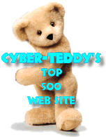 Cyber Teddy Award